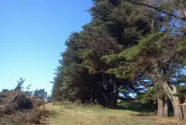 Paisaje jigsaw puzzle