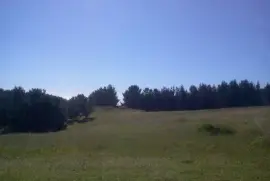 Paisaje jigsaw puzzle