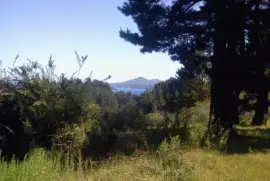 Paisaje jigsaw puzzle