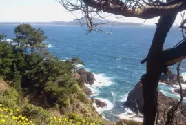 Paisaje jigsaw puzzle