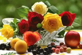   $D4F  RZC6r  jigsaw puzzle