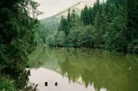 naturaleza jigsaw puzzle