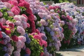 imagens jigsaw puzzle