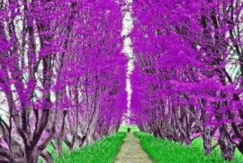 imagens jigsaw puzzle