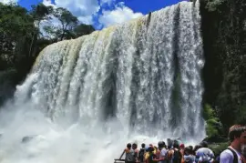 En el PN IguazÃº. Misiones. Argentina jigsaw puzzle
