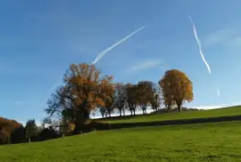 Herbst in Magdenau jigsaw puzzle