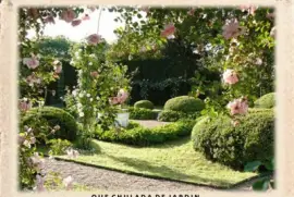 QUE CHULADA DE JARDIN jigsaw puzzle
