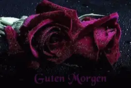 Ã¶Ã¶ Ã¶Ã¶Ã¶ Ã¶Ã¶Ã¶ Ã¶Ã¶Ã¶Ã¶ Ã¶ Ã¶Ã¶ Ã¶ Ã¶Ã¶Ã¶