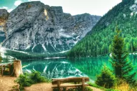 ooioooiiiioiioiiiioii jigsaw puzzle