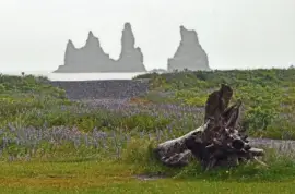 island jigsaw puzzle