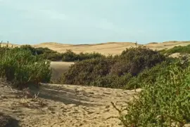 dunas maspalomas jigsaw puzzle