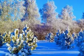 imagens jigsaw puzzle