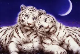 lkklllkhjkjkjjkllklkj