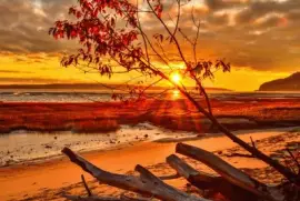 bhbhbhbhbhbhbgbhgvgh