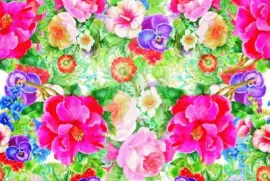 kakaakskskkskkekekke