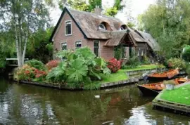 Pinturas jigsaw puzzle