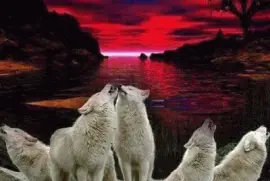 kukukuuukuuuuuukkkkkkuukuukuuku