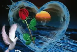 yiyiyiiyiyiiyiiyiyyiyiyii