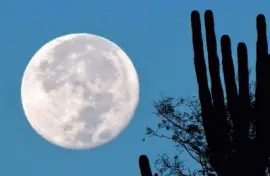 פאזל של desert moon