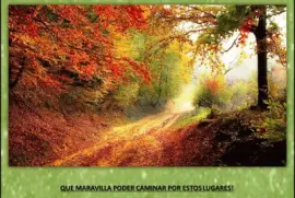QUE MARAVILLA PODER CAMINAR POR ESTOS LUGARES! jigsaw puzzle