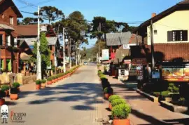 monte verde jigsaw puzzle