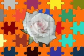 Ã¶Ã¼Ã¶Ã¼Ã¶Ã¼Ã¶Ã¼Ã¶Ã¶Ã¼Ã¼Ã¶