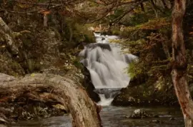 En Tierra del Fuego. Argentina jigsaw puzzle