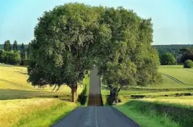 imagens jigsaw puzzle