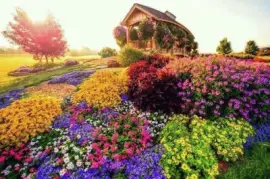 imagens jigsaw puzzle