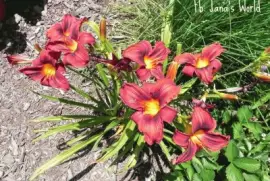 imagens jigsaw puzzle