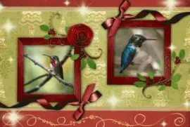 zmzmnzmznzmmzzmzmzmz