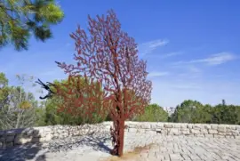 NATUREZA jigsaw puzzle