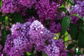 bÃ¼bÃ¼Ã¼bÃ¼Ã¼Ã¼bÃ¼Ã¼bÃ¼