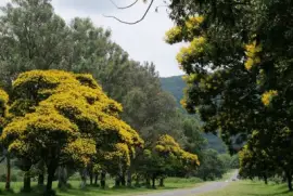 En la R338. TucumÃ¡n. Argentina jigsaw puzzle