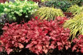 (159) Folhagem jigsaw puzzle