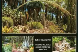 HUERTO DEL CURA, JARDIN ARTÃSTICO NACIONAL - ELCHE jigsaw puzzle