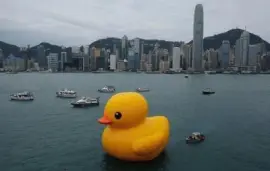 פאזל של dulce patito