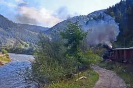 die Wassertalbahn (RumÃ¤nien) jigsaw puzzle