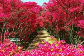 (173) Paisagem jigsaw puzzle