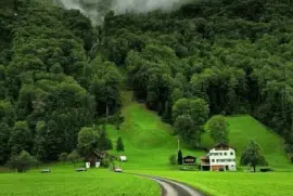 imagens jigsaw puzzle