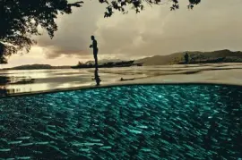 פאזל של iluciones