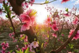 imagens jigsaw puzzle