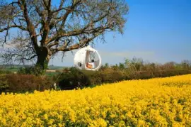 imagens jigsaw puzzle