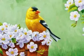 pÃ¡jaro en flor jigsaw puzzle