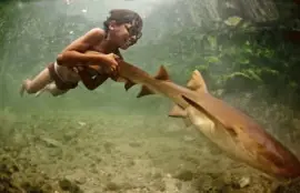 פאזל של pezcadeando