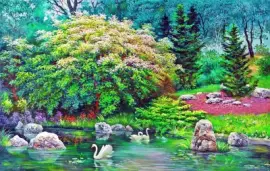 estanque jigsaw puzzle