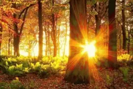 Magicos lugares jigsaw puzzle