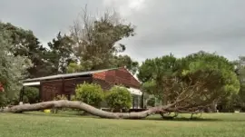 no morirÃ¡ de pie jigsaw puzzle