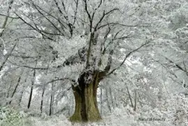 imagens jigsaw puzzle