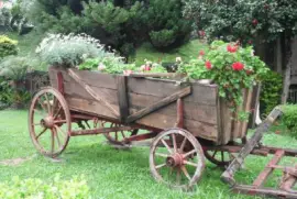 Serra Gaucha jigsaw puzzle